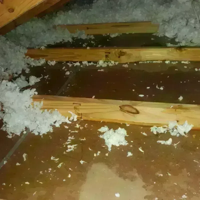 Attic Water Damage in Erie County, PA