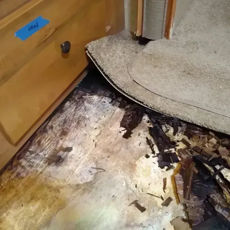 Wood Floor Water Damage in Erie County, PA